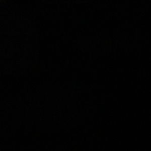 Meet your Posher, Dakota